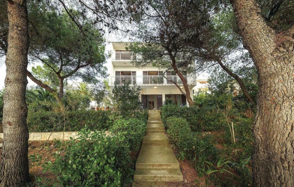 טרוגיר Villa Maja מראה חיצוני תמונה