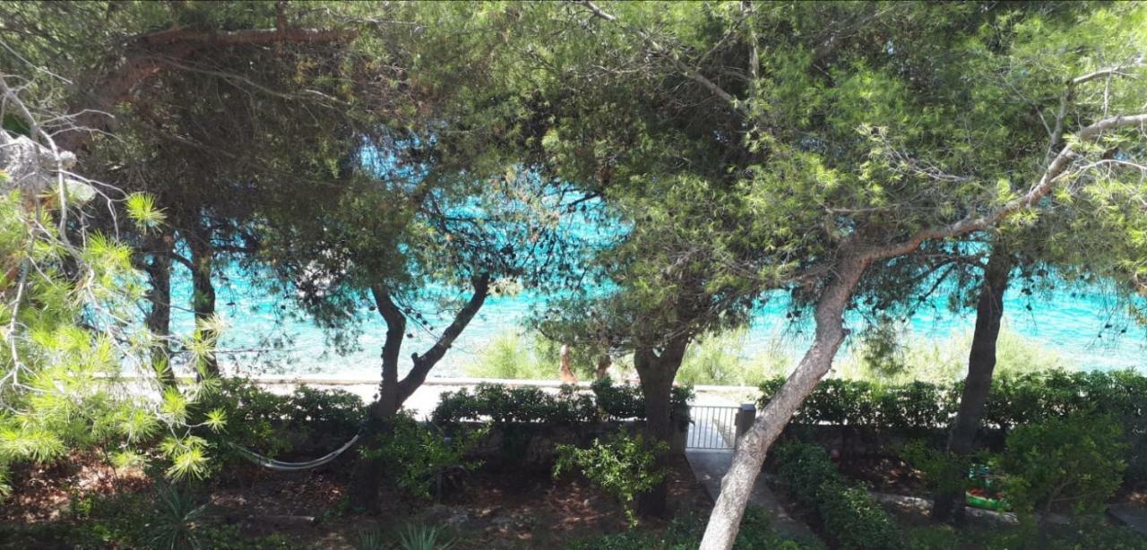 טרוגיר Villa Maja מראה חיצוני תמונה