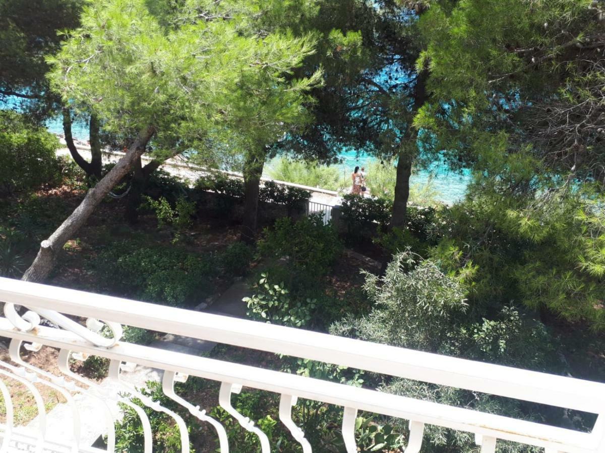 טרוגיר Villa Maja מראה חיצוני תמונה